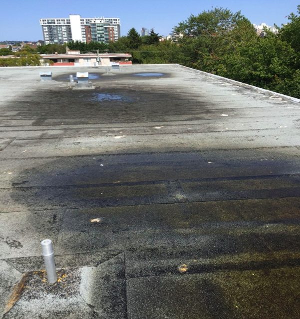 Roof membrane showing large dark stains where water has repeatedly ponded
