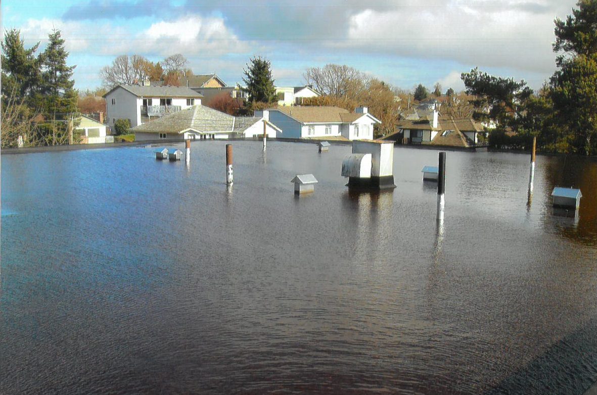 Extensive ponding across a commercial roof with vents protruding through the water