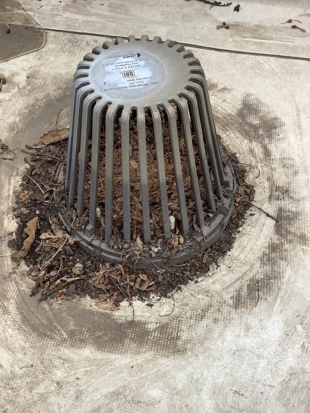 Roof drain strainer packed with organic debris and sediment