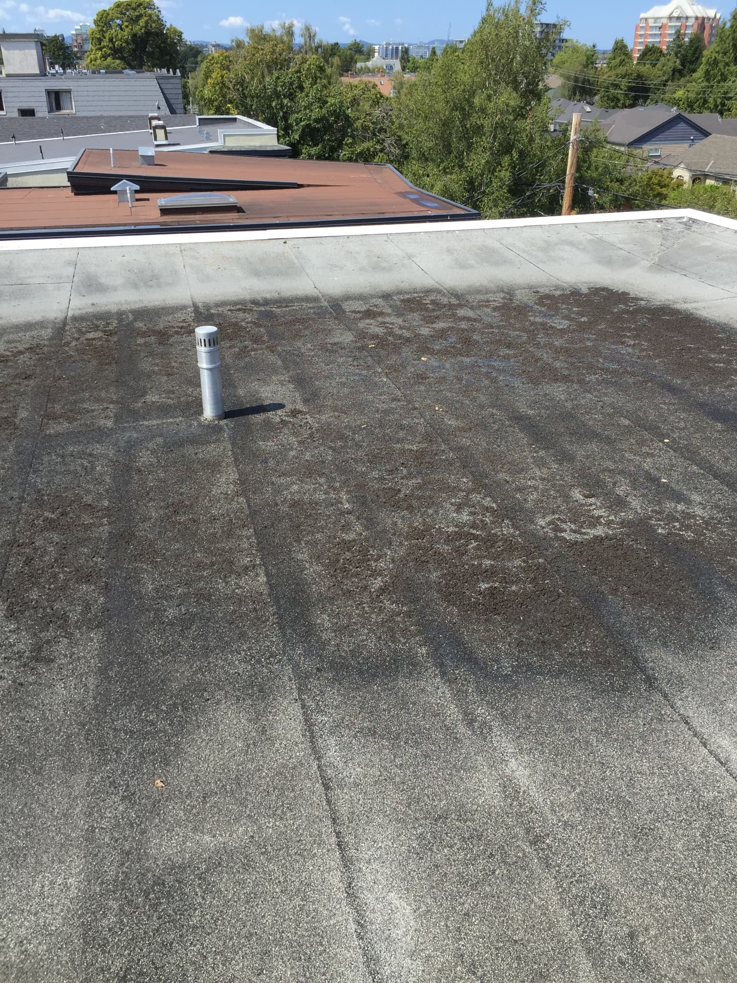 Wide view of a low-slope roof membrane with dark staining and surface wear across the field