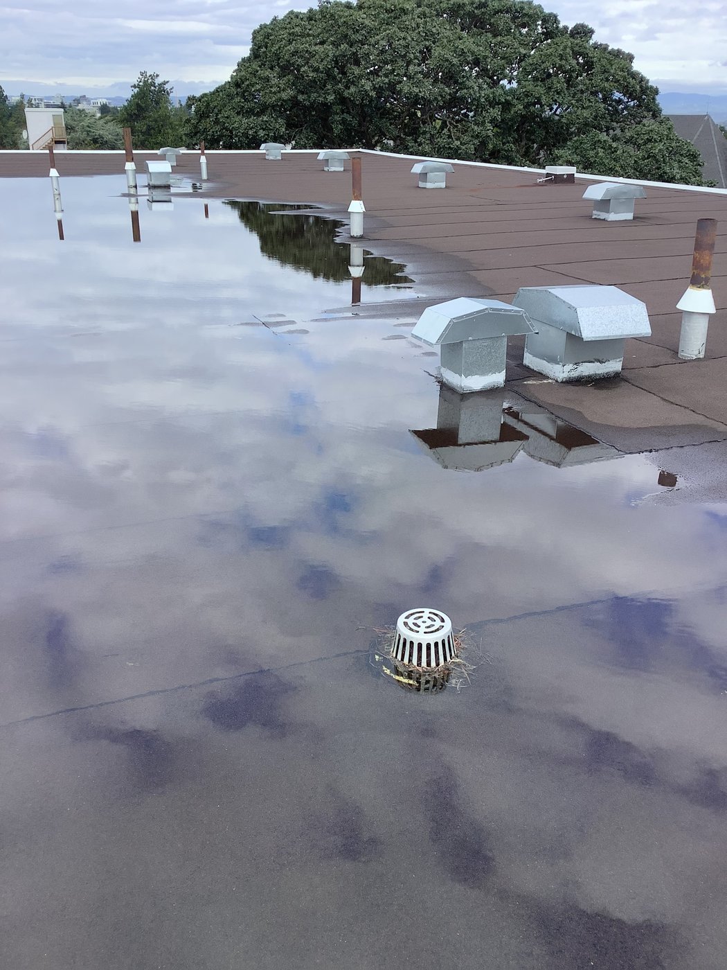 Standing water pooled around a single primary roof drain after rainfall