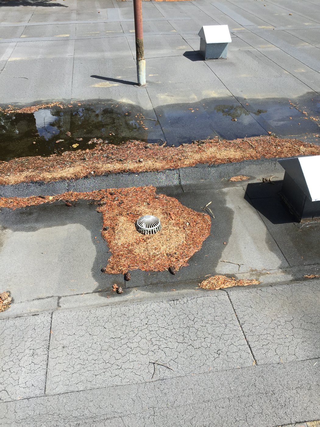 Localized standing water on a roof membrane beside a debris-restricted drain